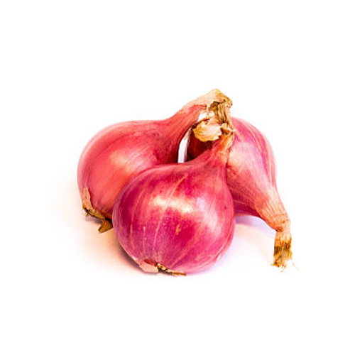 Echalote