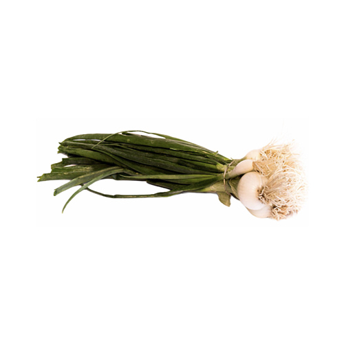 Cebolla Cambray