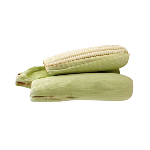 Elote