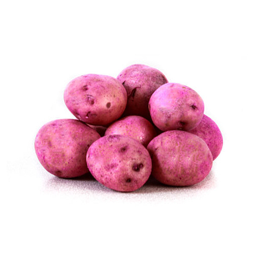 Papa Criolla