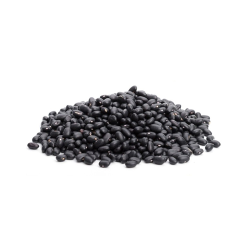 Frijol Negro Michigan