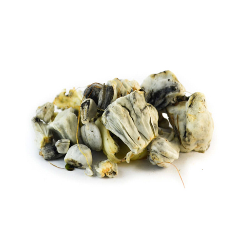 Huitlacoche