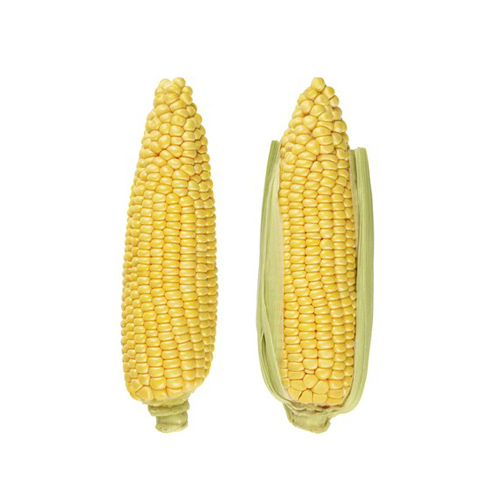 Elote Dulce