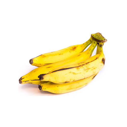 Plátano Macho