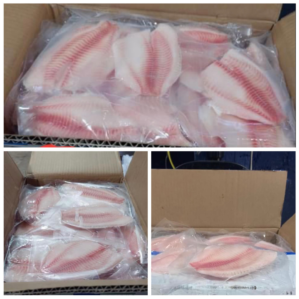FILETE TILAPIA 100%