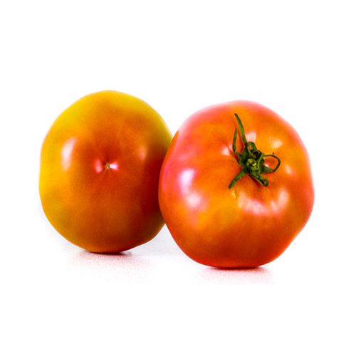 Tomate Bola