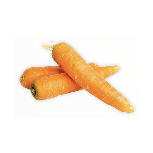 Zanahoria