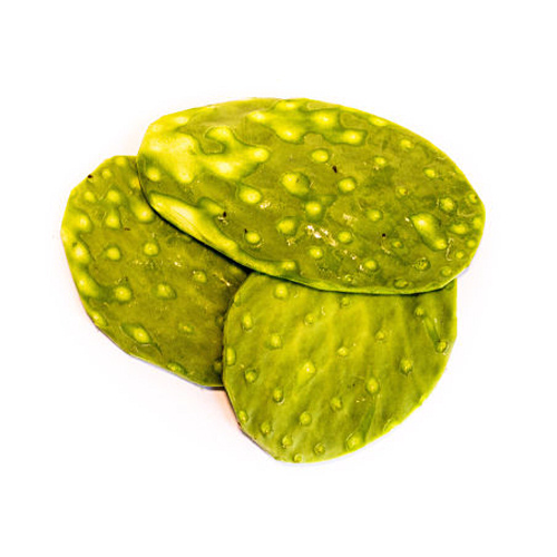 Nopal