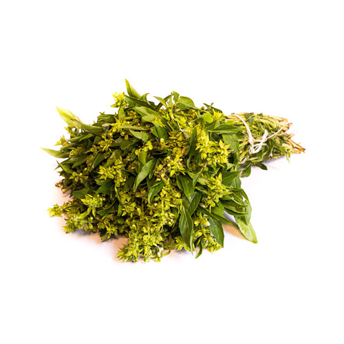 Albahaca
