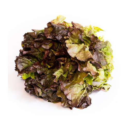 Lechuga Sangria