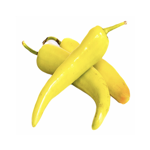 Chile Hüngaro