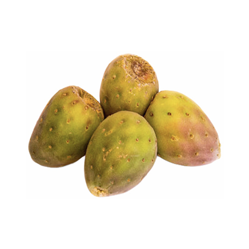 Xoconostles